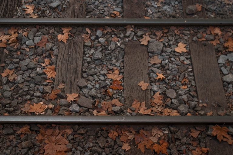 a wood fence with leaves on the ground