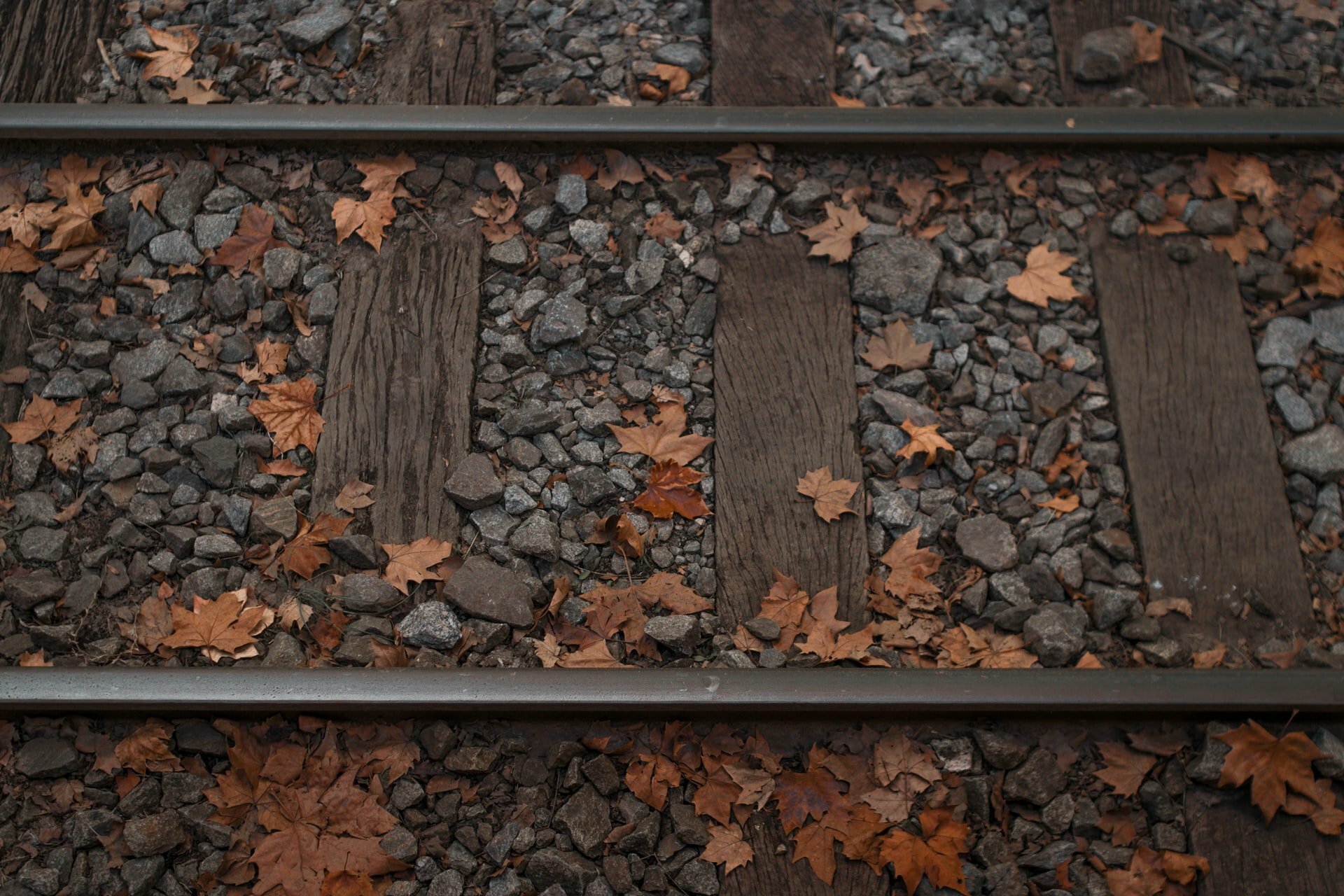 a wood fence with leaves on the ground