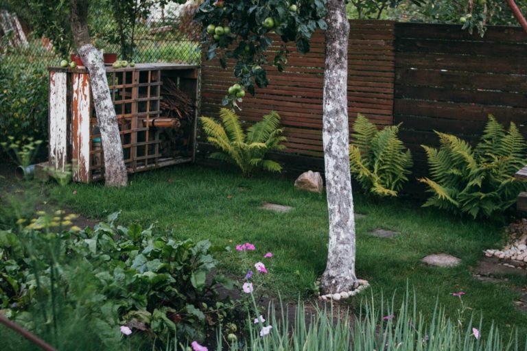 a yard with a tree and a fence