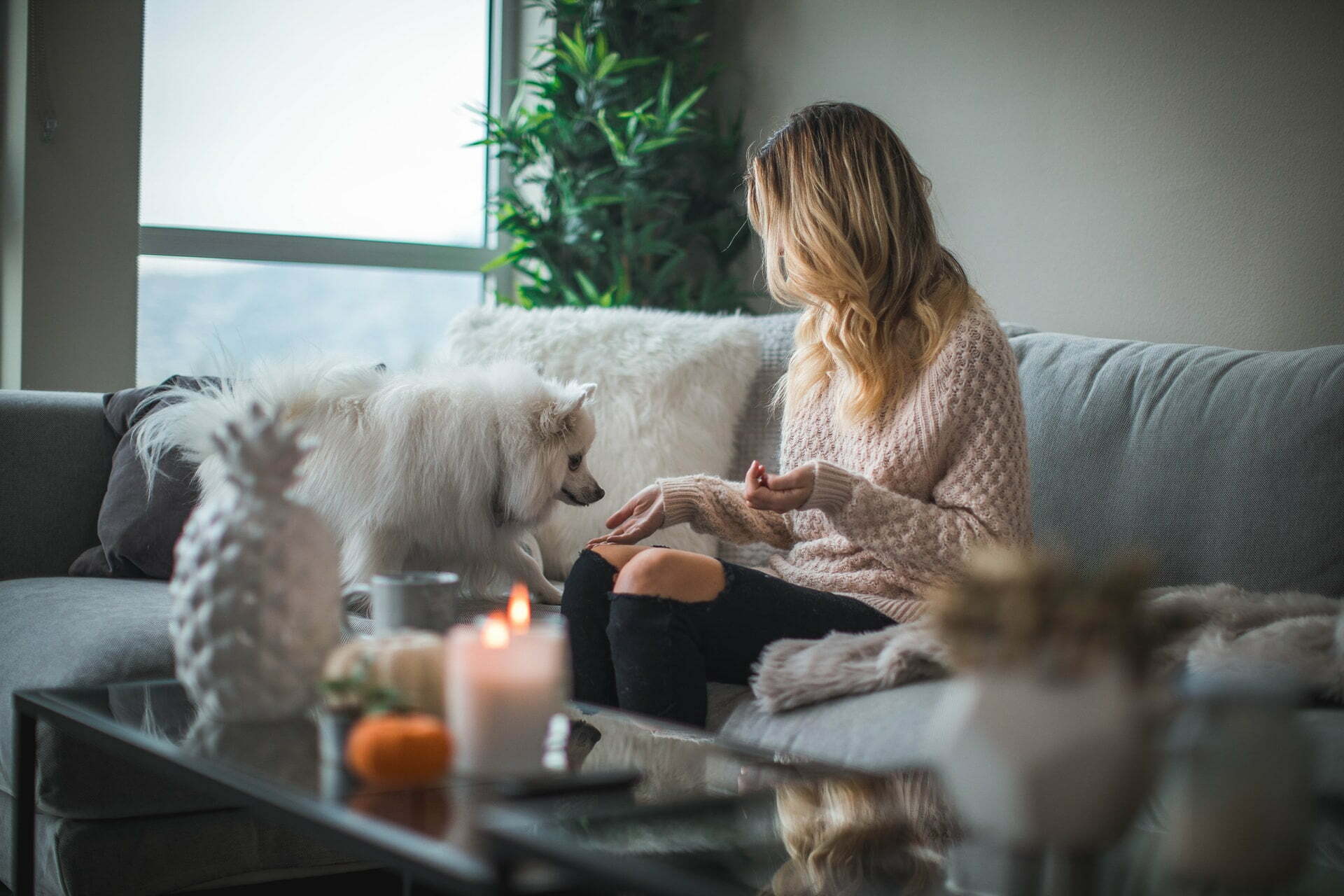 a woman and a dog sitting on a couch