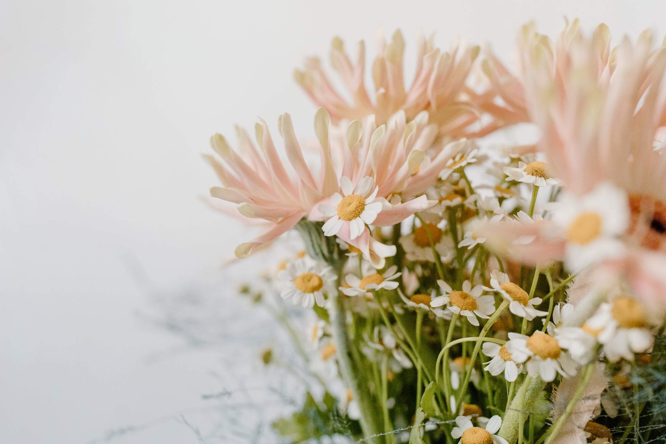 a group of flowers